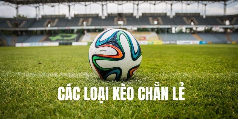 Các Chiến Thuật Chơi Kèo Chẵn Lẻ Hiệu Quả Nhất Trong Năm 2025